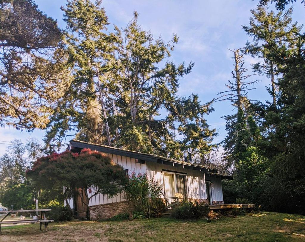 The Andiron Seaside Inn & Cabins Little River Luaran gambar